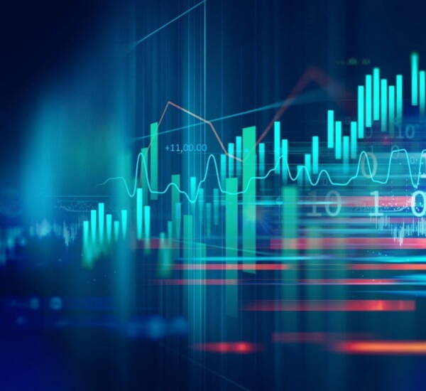 analysing data and reports